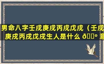 男命八字壬戌庚戌丙戌戊戌（壬戌庚戌丙戌戊戌生人是什么 🌺 意思）